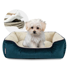Miguel bed blue removable cover—easy washing keeps sleep space clean.