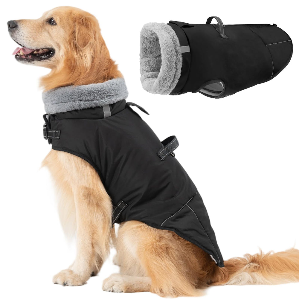 Mihachi dog coat in black front view showing secure fit for large breeds during chilly walks