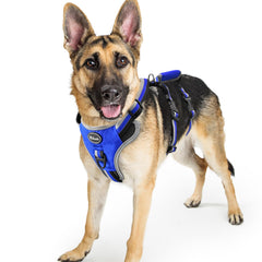 Mihachi Escape Proof Harness blue large left side view showing secure fit for daily walks