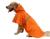 Mikayoo Carledon raincoat back view shows secure fit for large dogs during rain