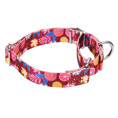 Mikivery Martingale Collar adjustable range fits growing dogs for versatile daily walks.