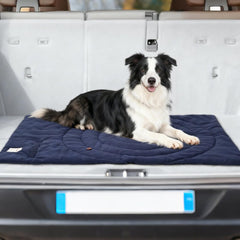 MikooMikoo dog travel mat yellow waterproof layer protects from damp ground.