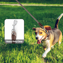 Mile High Life heavy-duty rope dog leash 6ft durability in rain