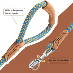 Mile High Life 360 swivel-clip leash demonstrates tangle-free movement during outdoor runs