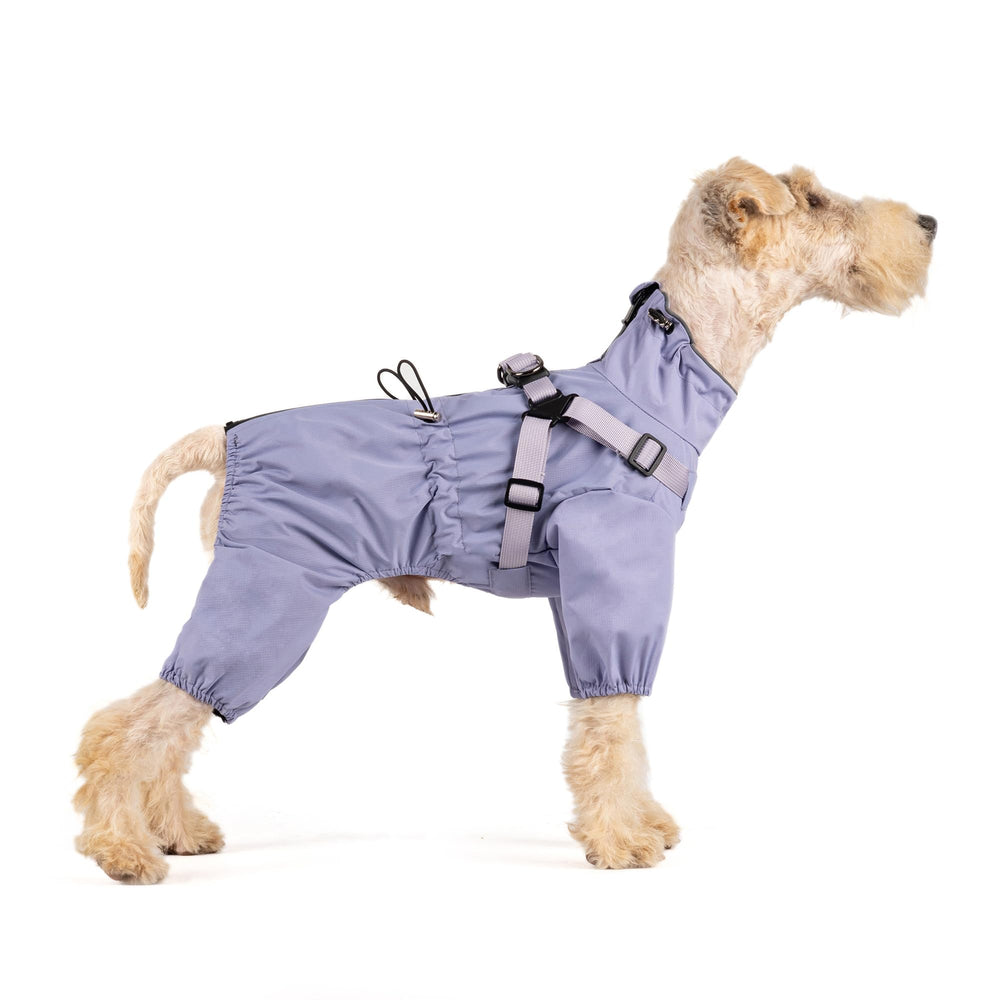 Mile High Life XXS raincoat back length 9.8 inches keeps tiny dogs dry in rain