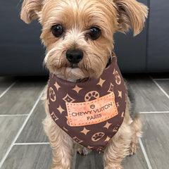 Millionaire Mutt bandana detailed print close-up shows vibrant colors