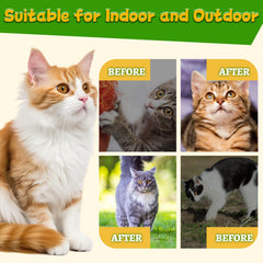 Mimo Style Cat Deterrent Ball placed in garden to protect beds from digging.