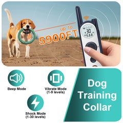MIMOFPET remote control close-up with multiple training modes.