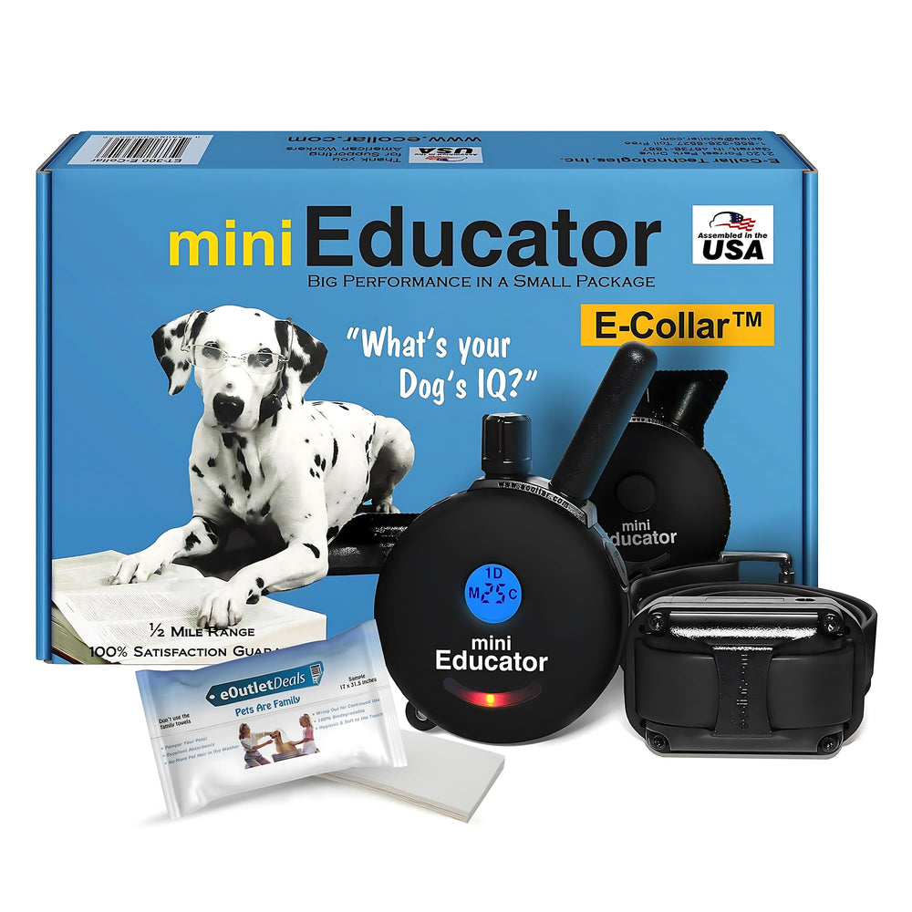 Mini Educator ET-300 collar receiver close-up for reliable training in any weather