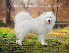 MinkSheen mink oil close-up highlights natural moisture for a healthy coat.