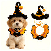 MITOCAPY spider bib costume on cat for cute Halloween photos.