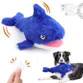 Mity Rain 2in1 interactive shark toy ready for indoor play and engagement.