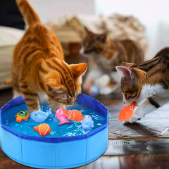 Gato jugando en la piscina azul de Mity Rain para horas de actividad
