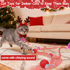 Mity Rain obstacle-avoidance cat toy ball ensures safe play.
