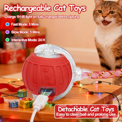 Mity Rain rolling action cat toy ball keeps indoor cats engaged.