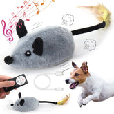 Mity rain interactive dog toy with remote sensor for smart play sessions