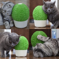 Miwoowim Catnip Feeder durian-shaped pot adds playful furniture for cats