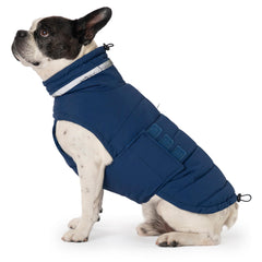 Mklhgty waterproof dog coat blue provides warmth in rain or snow for medium dogs