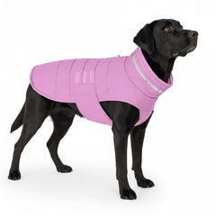 Mklhgty waterproof dog coat on a dog in rain for warm protection.