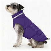 Mklhgty waterproof dog coat purple front view keeps small dogs warm in rain