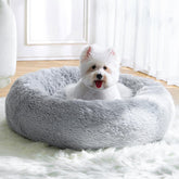 MNWHUC calming small dog bed with donut design for cozy naps and security.