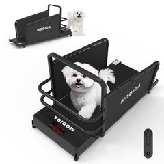 MODIDA dog treadmill speed-range display for customizable home workouts