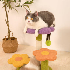 MODUSKYE cat condo with Teddy velvet offers a cozy resting space.
