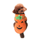 Mogoko pumpkin costume hoodie front view for festive autumn pet cosplay
