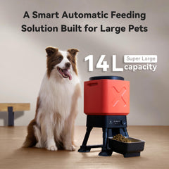 MOLLY&CODY anti-blockage system closeup shows reliable dispensing for large kibble.