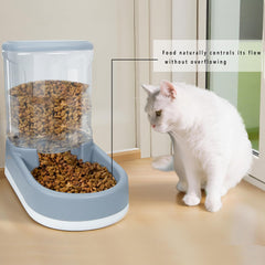 MOLOPARTY folding travel bowl for on the go feeding