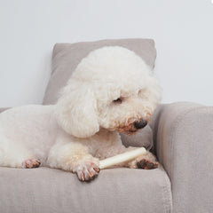 MON2SUN small-dog chews 6.5 inch sticks—gentle on small jaws
