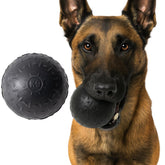Monster K9 Indestructible Ball front view showing rugged durability for tough chewers