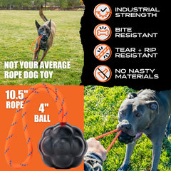 Monster K9 XL Dog Ball chewing action during playtime demonstrates resilience.