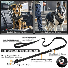 MOOGROU 2-in-1 leash demonstrates rotating clip and car seat belt conversion