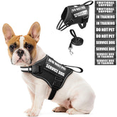 MOOGROU service dog harness set front view for easy control during training