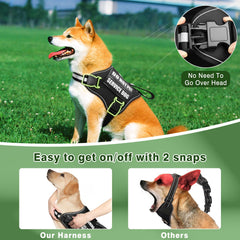 Bright Velcro patches include DO NOT PET and IN TRAINING for clear messaging.