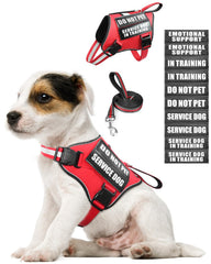 MOOGROU vest front view in red XS suitable for small dogs and daily use