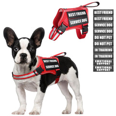 MOOGROU service dog vest front view highlights breathable mesh for comfortable all-day wear.