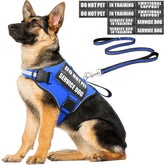 MOOGROU service dog vest harness blue XL worn during training for comfort.