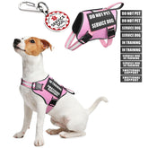 MOOGROU service dog vest-harness ideal for quick on/off during walks