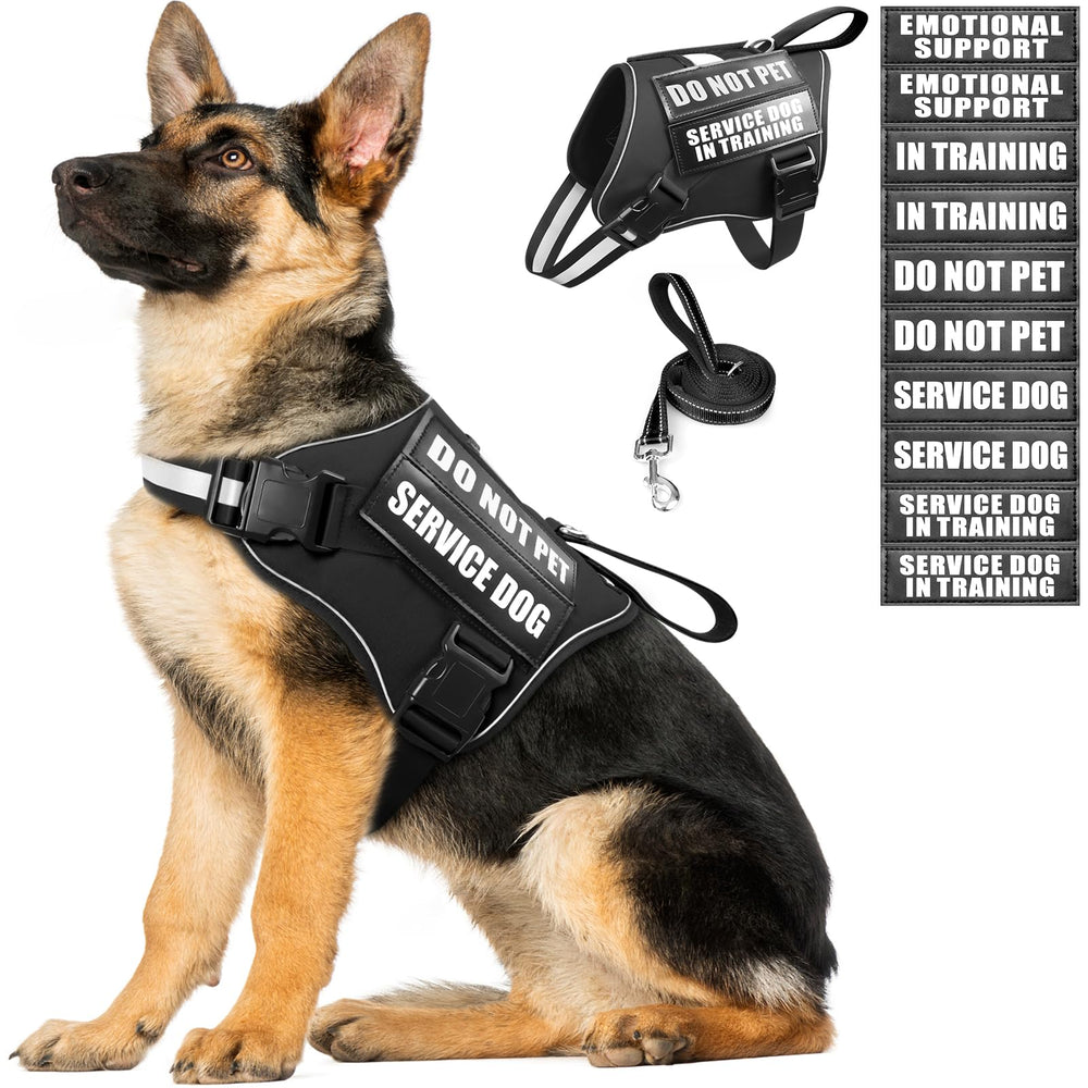 MOOGROU service dog vest and leash set with reflective straps for safe night walks.