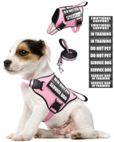 MOOGROU service dog vest pink XS on a small dog for everyday safety