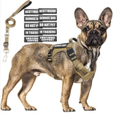 MOOGROU tactical dog harness back view shows sturdy vest for training and control.