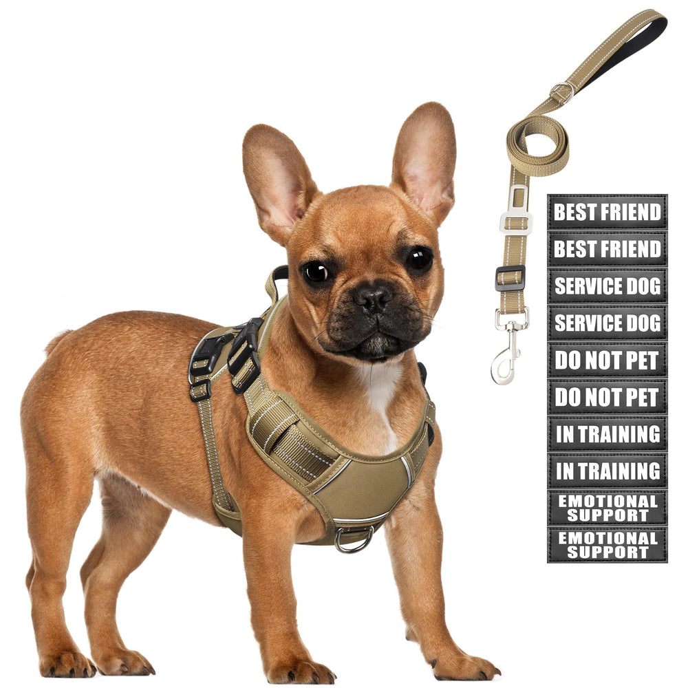 MOOGROU tactical dog harness front view showing secure chest fit for daily training.