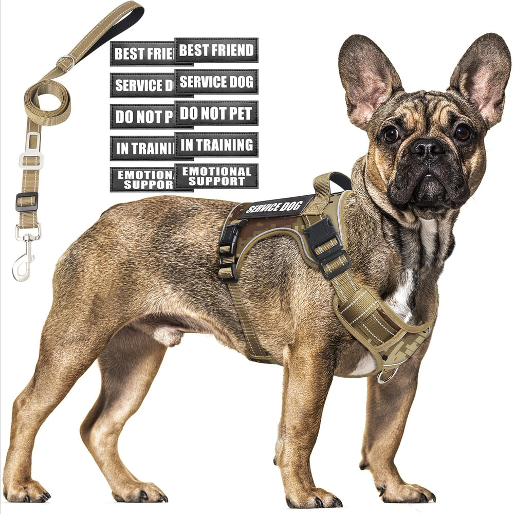 MOOGROU tactical dog harness showcases reflective strips for safer nighttime walks.