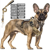 MOOGROU tactical dog harness showcases reflective strips for safer nighttime walks.