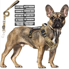 MOOGROU tactical dog harness showcases reflective strips for safer nighttime walks.