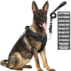 MOOGROU tactical harness closeup showing no-pull design for safer training sessions.