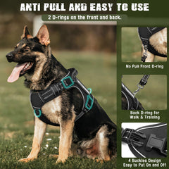 MOOGROU tactical harness on dog during walk showing reflective strips for night visibility.
