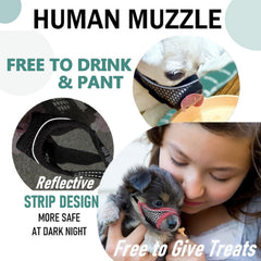MoiiLavin bozal de malla para perros pequeños con correas reflectantes y hebilla duradera